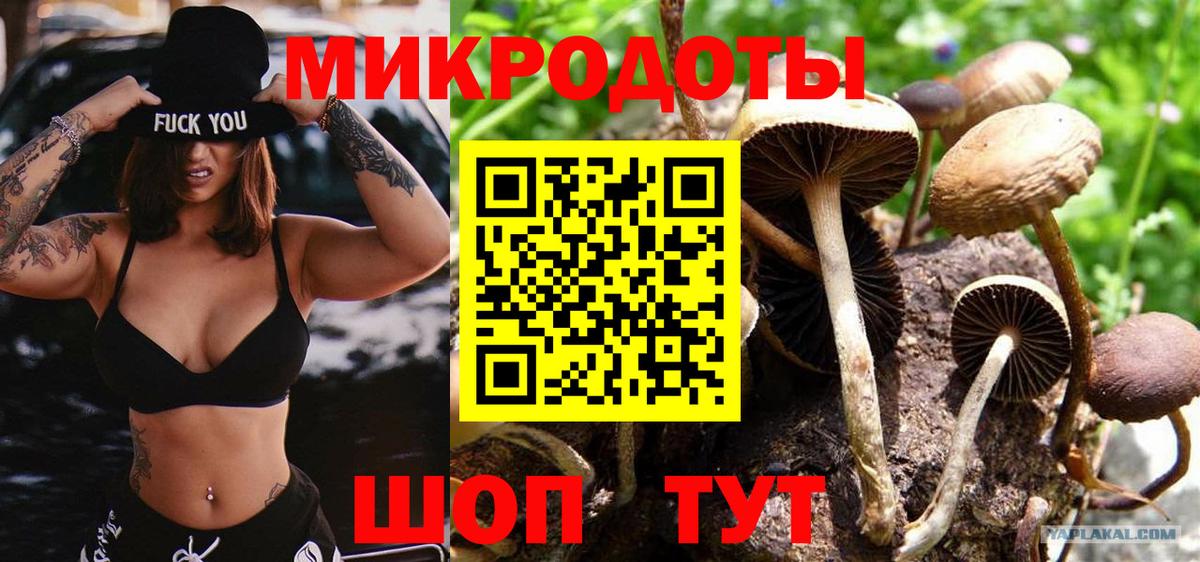 Псилоцибиновые грибы Cubensis  Галлюциногенные грибы Psilocybe  Вход с VPN  Курган 